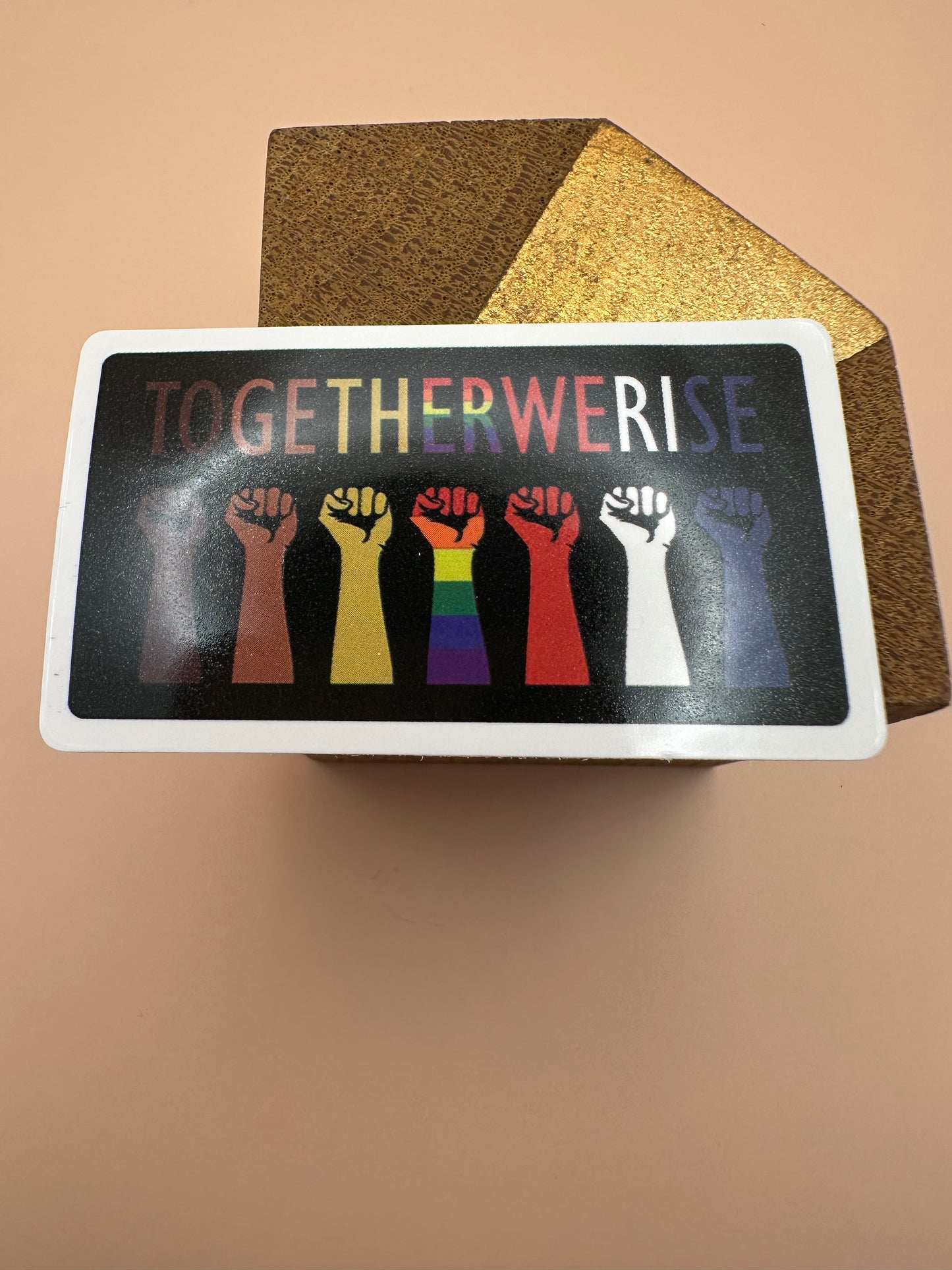 Together we rise Autocollant/Sticker
