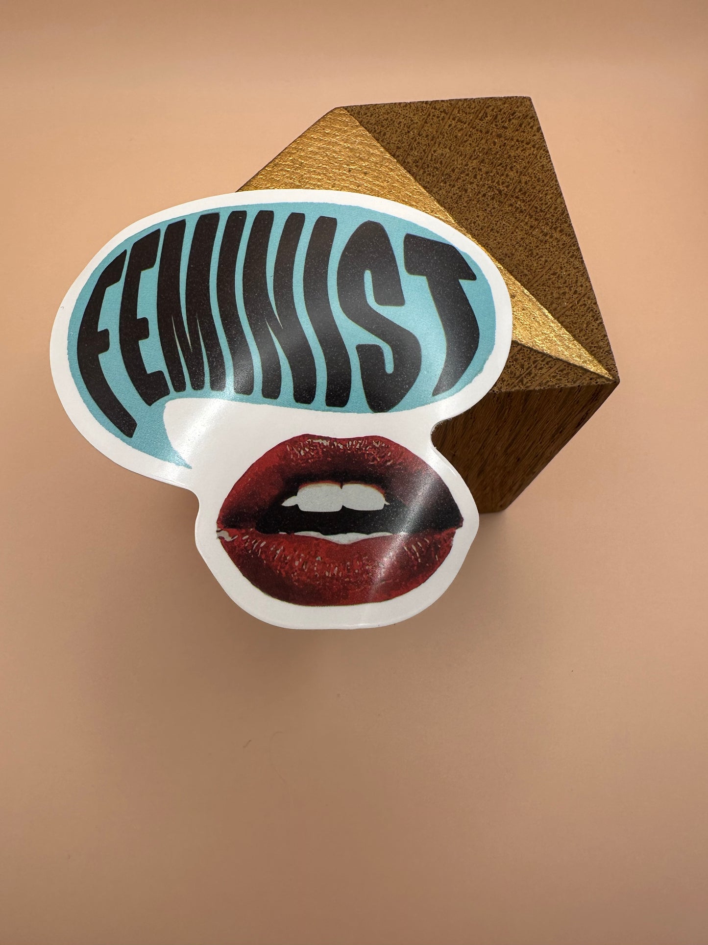 Feminist Autocollant/Sticker
