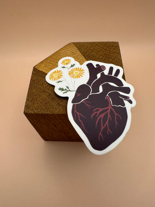 Heart Autocollant/Sticker