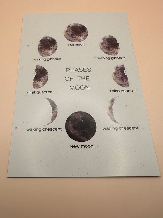 Planète carte déco mur